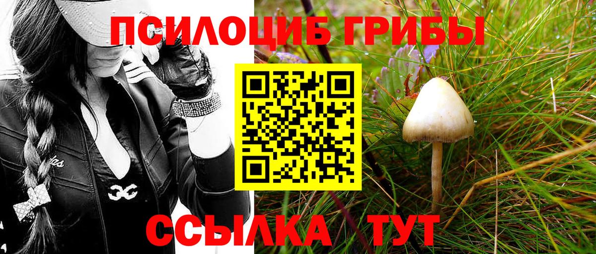 Лабытнанги  Галлюциногенные грибы мицелий  Вход с VPN 